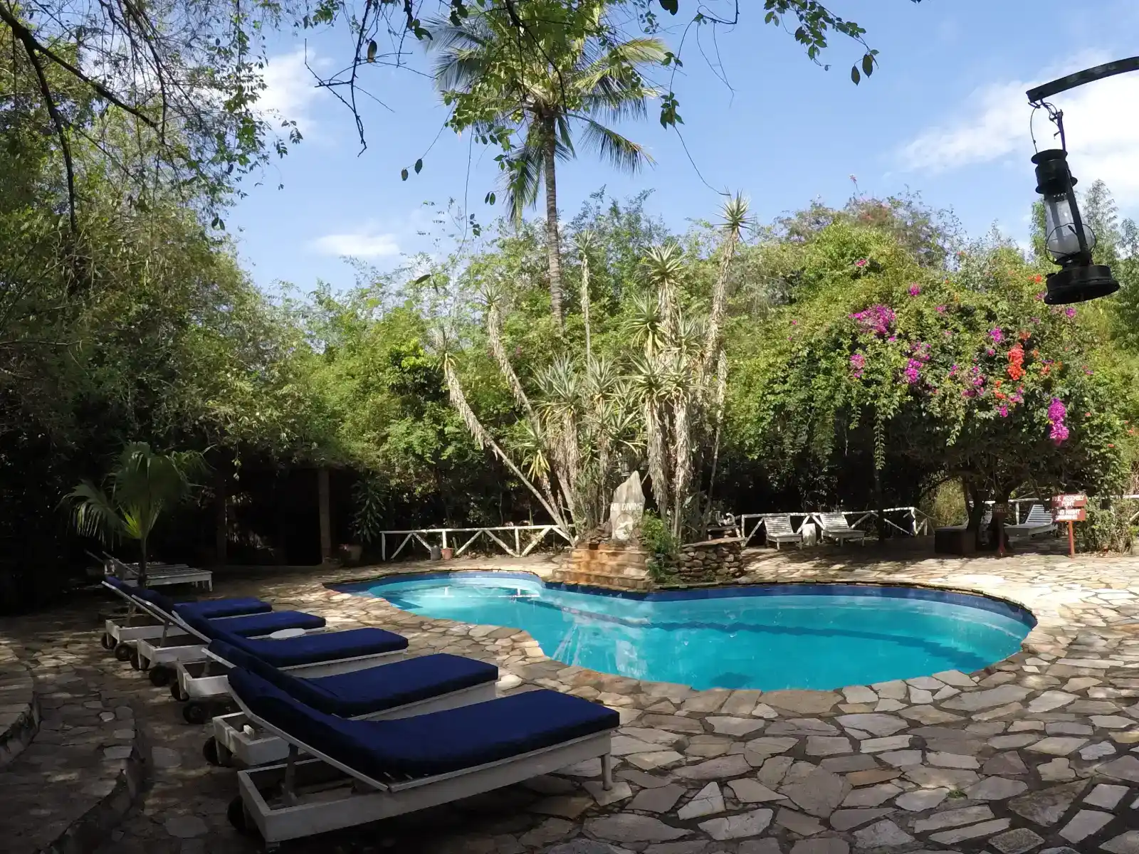 Fig Tree Camp Pool